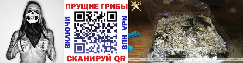 Галлюциногенные грибы Cubensis  купить закладку  Киселёвск 